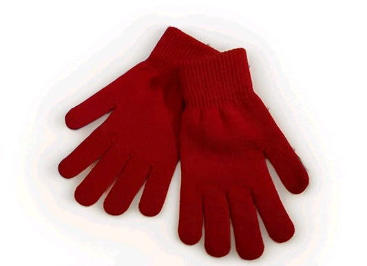 Gant Hiver #0132#